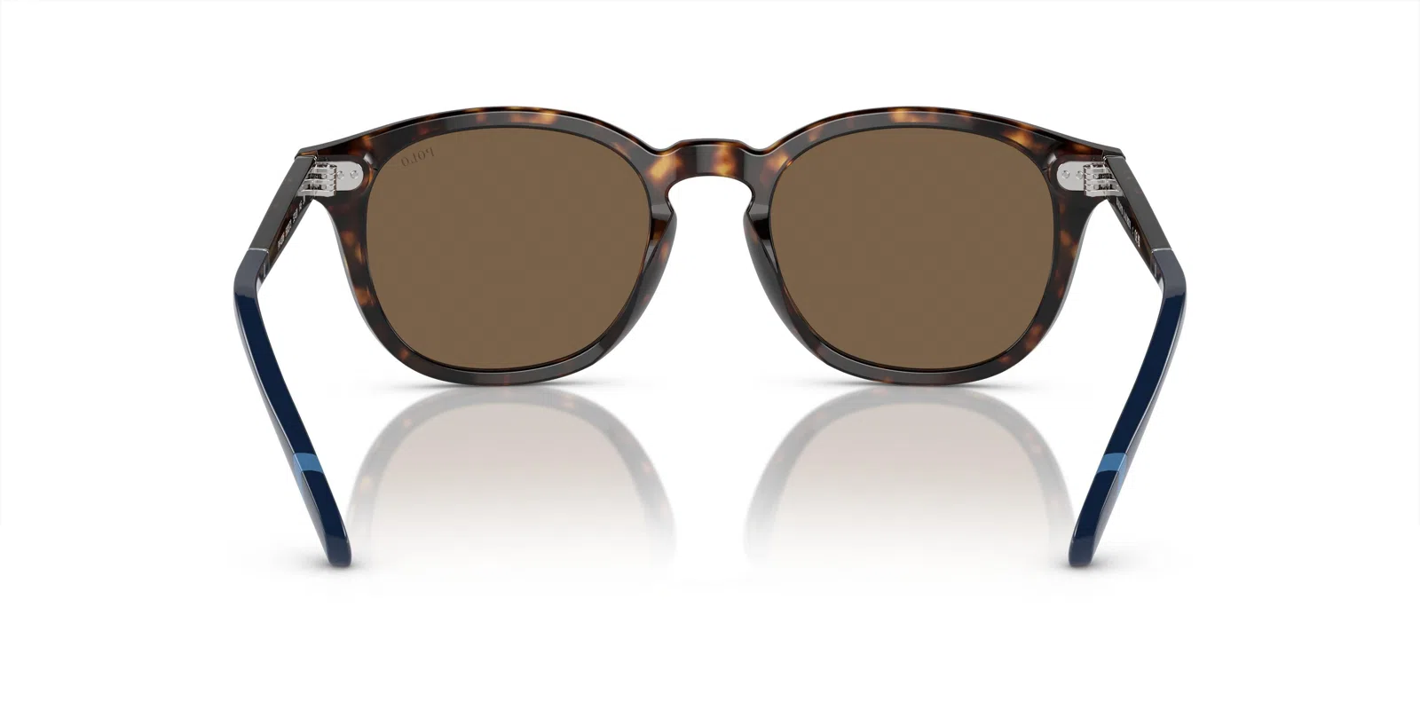 Polo 4206 Sunglasses - view 16